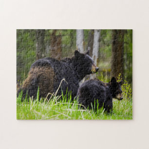 Black Bears of America. Jigsaw Puzzle