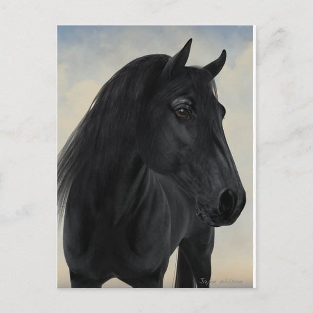 Black Beauty - Black Friesian Horse Portrait Postcard (Front)