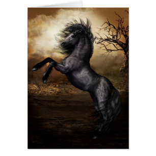 Black Beauty Card