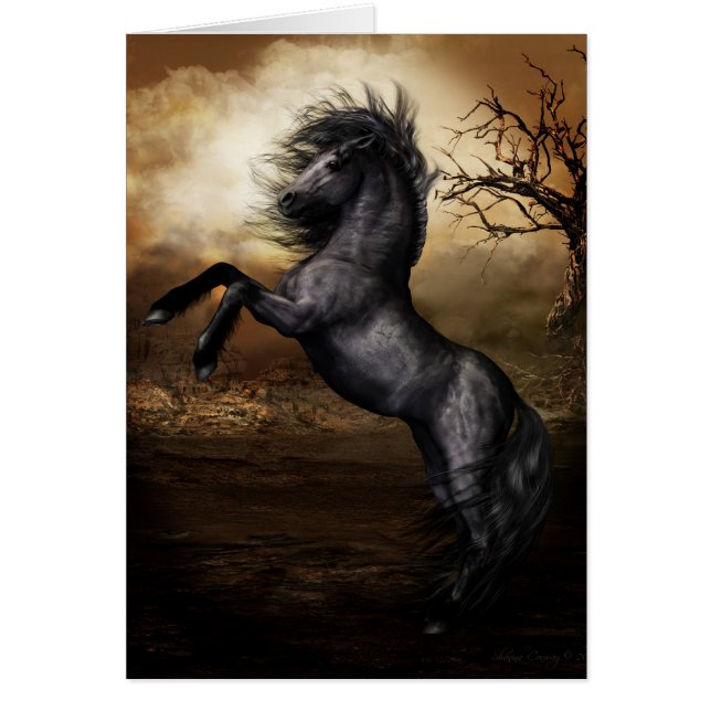 Black Beauty Card (Front)