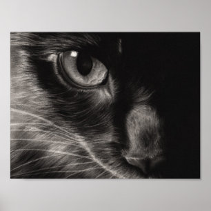 Black Beauty Cat Poster