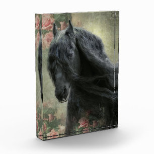 Black Beauty Friesian Horse - Photo Block