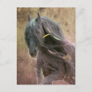 Black Beauty Friesian Horse - Postcard