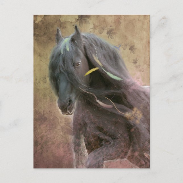 Black Beauty Friesian Horse - Postcard (Front)