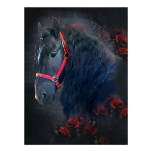 Black Beauty Friesian Horse - Poster