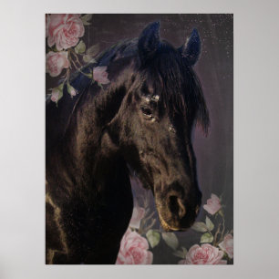 Black Beauty Friesian Horse - Poster