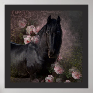 Black Beauty Friesian Horse - Poster