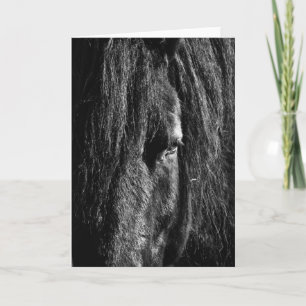 Black Beauty - Greeting Card