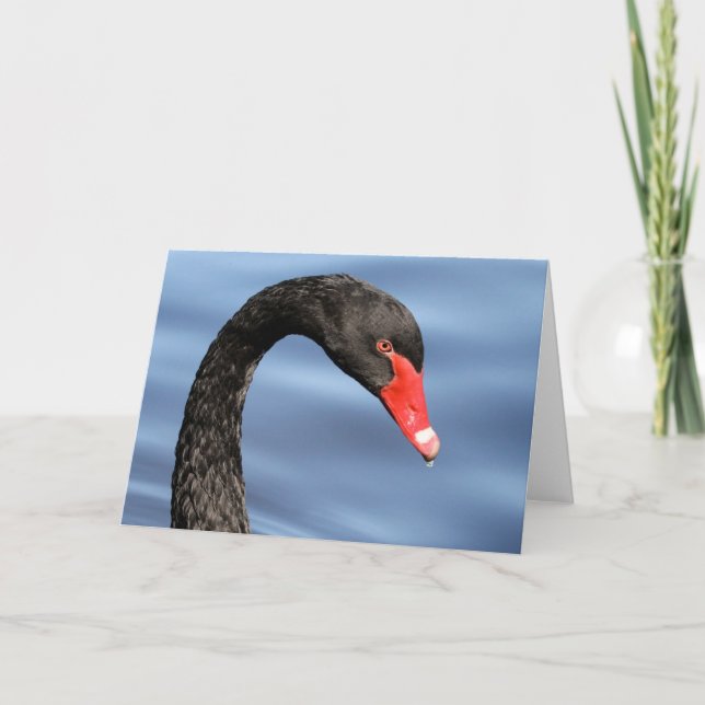 Black Beauty Greeting Card (Front)