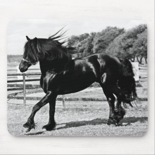 Black Beauty Horse Mouse Mat