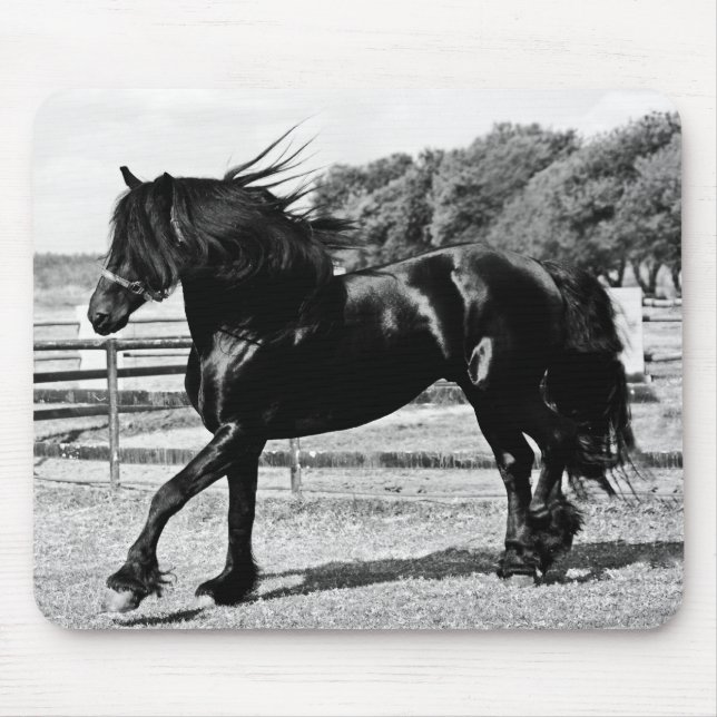 Black Beauty Horse Mouse Mat (Front)
