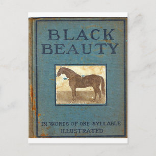 Black Beauty Postcard