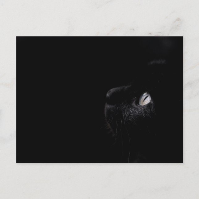Black beauty - Postcard (Front)