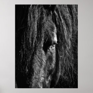 Black Beauty - Poster