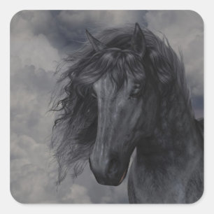 Black Beauty Sticker