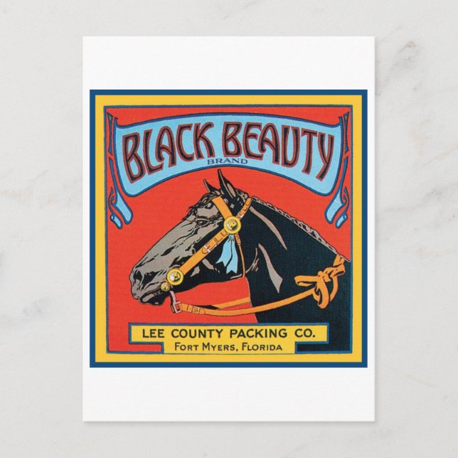 Black Beauty Vintage Crate Label - Horse Postcard (Front)