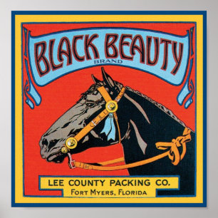 Black Beauty Vintage Crate Label - Horse Poster