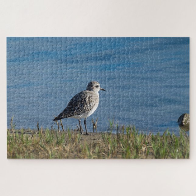 Black Bellied Plover Jigsaw Puzzle (Horizontal)