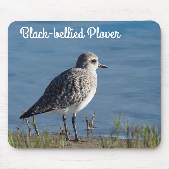 Black Bellied Plover Mouse Mat (Front)