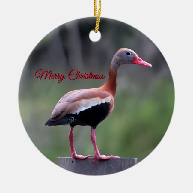 Black Bellied Whistling Duck, Merry Christmas Ceramic Tree Decoration (Front)