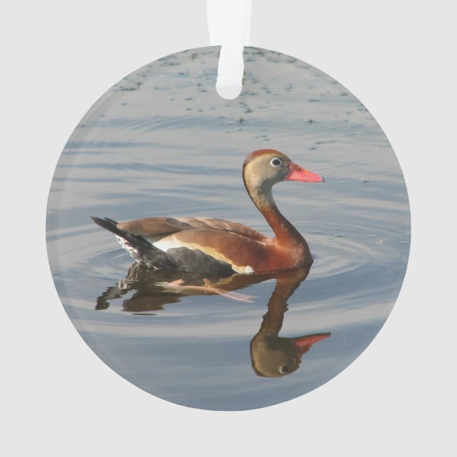 Black-bellied Whistling-Duck Ornament (Back)