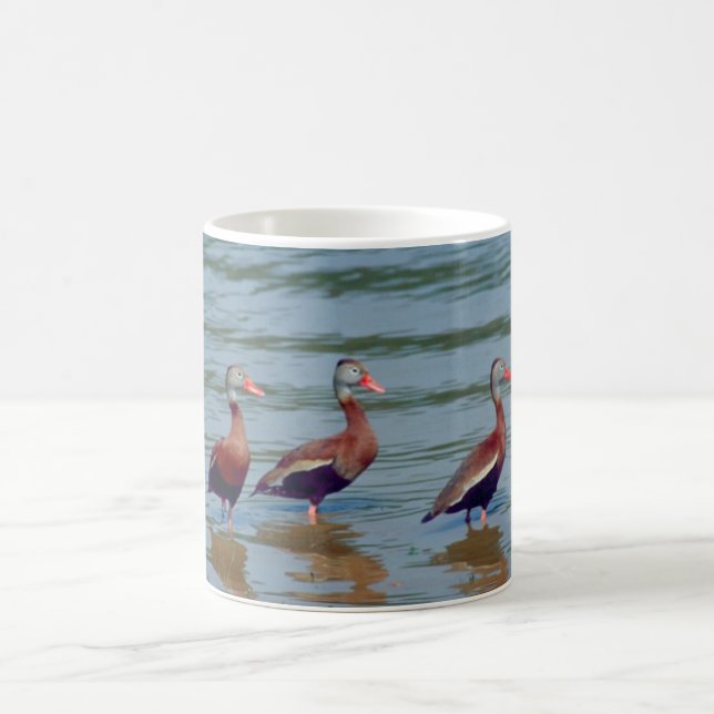 Black-Bellied Whistling Ducks Coffee Mug (Center)