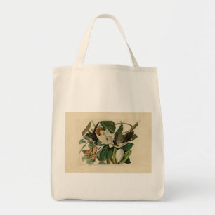 Black-billed Cuckoo - Audubon's Birds of America Tote Bag