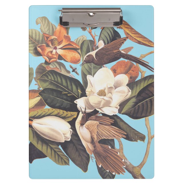 Black Billed Cuckoo Bird Clipboard (Front)