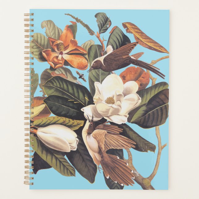 Black Billed Cuckoo Bird Planner (Front)