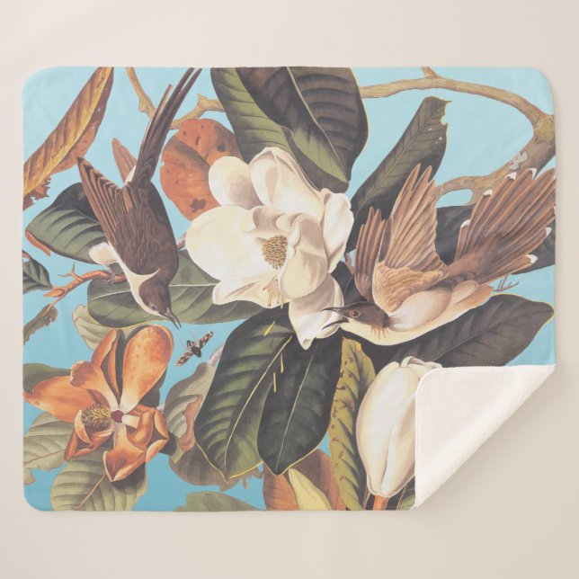 Black-Billed Cuckoo Bird Sherpa Blanket (Front (Horizontal))
