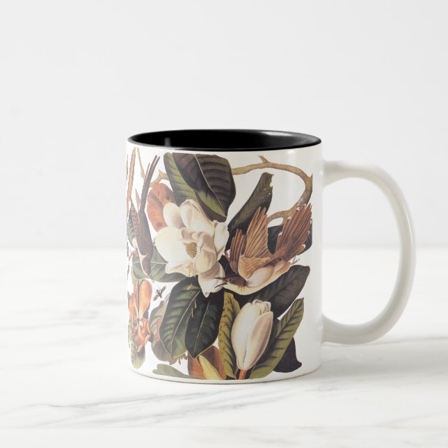 Black billed Cuckoo Birds Two-Tone Coffee Mug (Right)