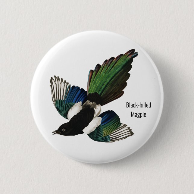 Black-billed Magpie, Audubon, American Birder, 6 Cm Round Badge (Front)