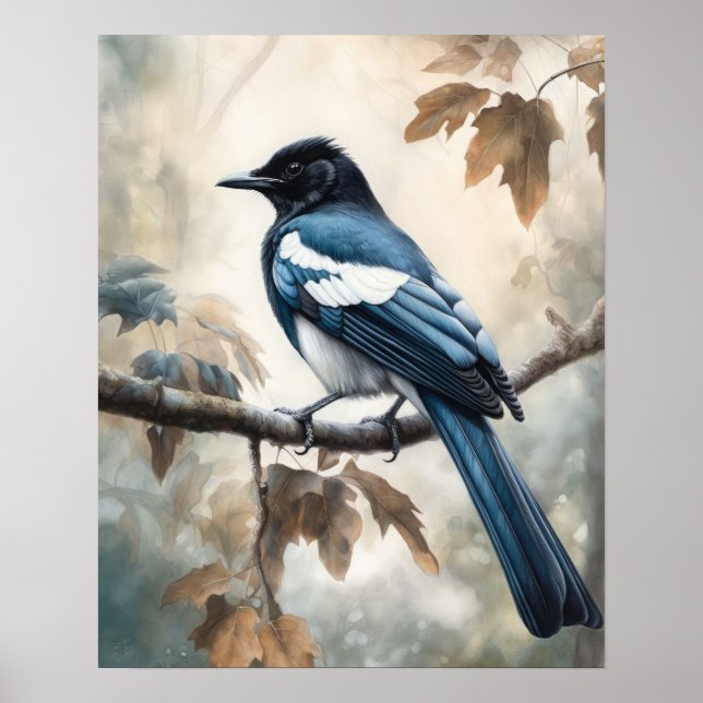 Black Billed Magpie Bird Art Print Poster (Front)