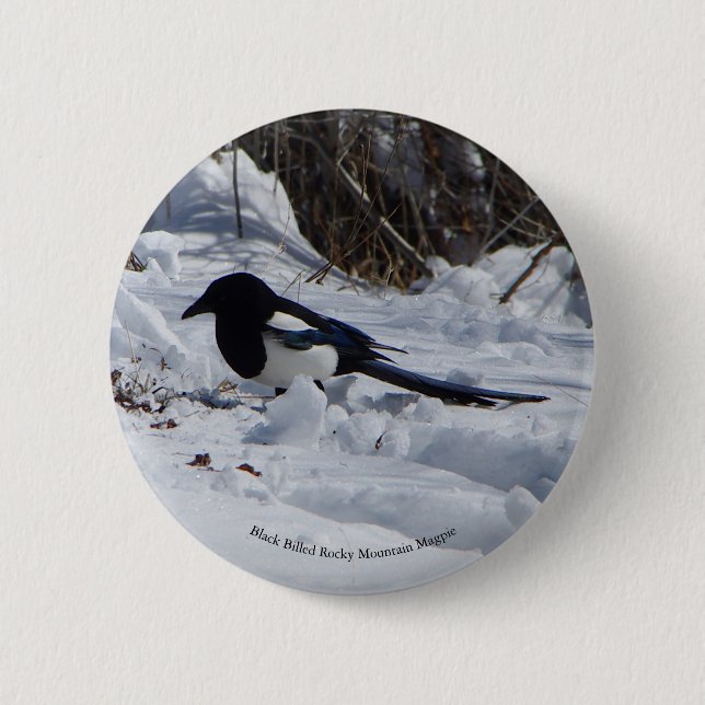 Black Billed Rocky Mountain Magpie button (Front)