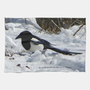 Black Billed Rocky Mountain Magpie kitchen towel