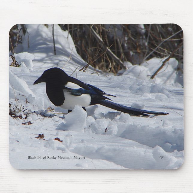 Black Billed Rocky Mountain Magpie mousepad (Front)