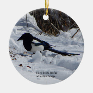 Black Billed Rocky Mountain Magpie ornament