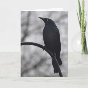 Black Bird Card