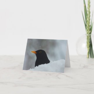 Black Bird in Winter Folded Greeting Card