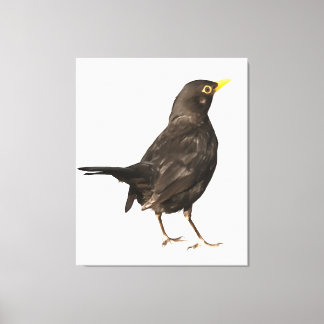 Black Bird Isolated On White Acrylic Painting Canvas Print