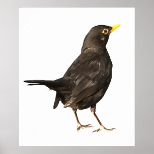 Black Bird Isolated On White Acrylic Painting Poster