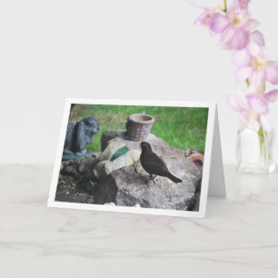 Black Bird On Rockery Card