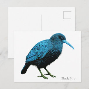 Black Bird Postcard