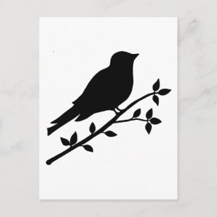 Black Bird Silhouette Postcard