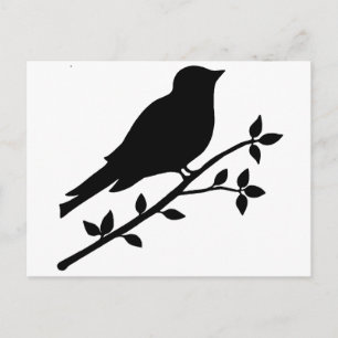 Black Bird Silhouette Postcard