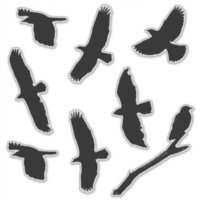 Black Bird Silhouettes Custom-Cut Vinyl Sticker