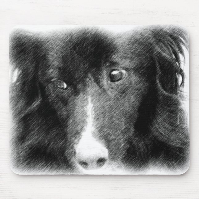 Black Border Collie Animal Art Mouse Mat (Front)