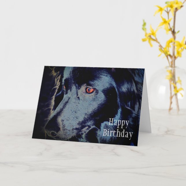 Black Border Collie Face Animal Art Birthday Card (Yellow Flower)