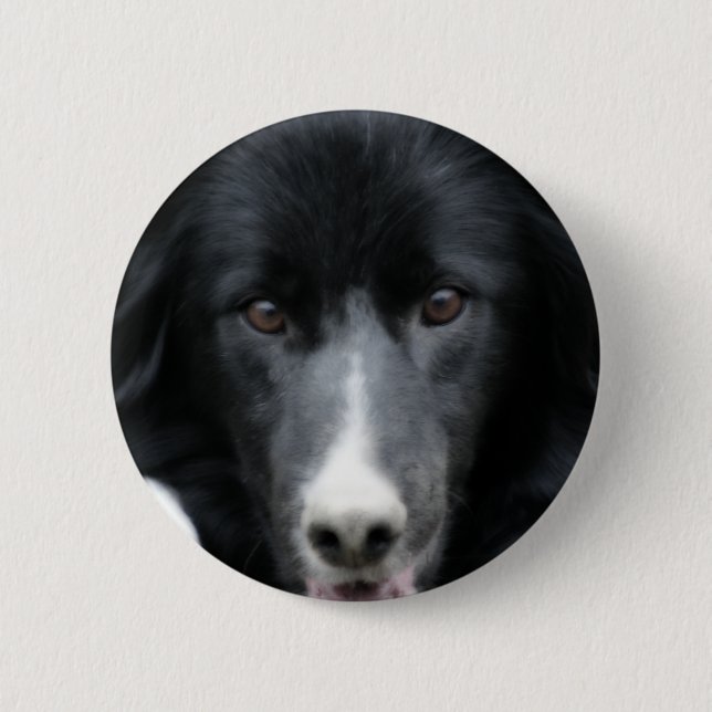 Black Border Collie Face Dog Button (Front)