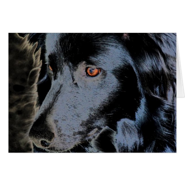 Black Border Collie Face Dog Card (Front Horizontal)